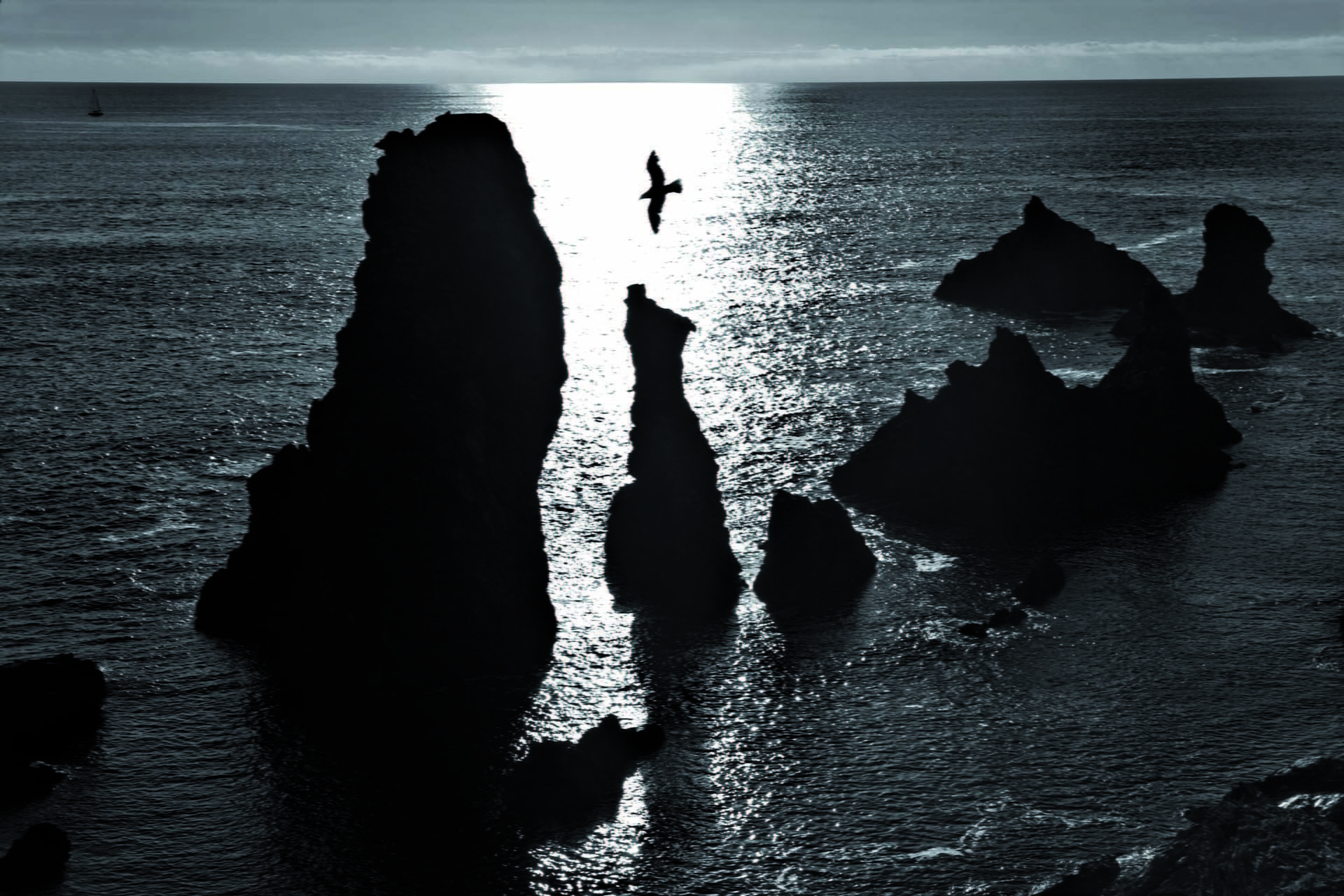 Anne Sargeant Artistes du Pays d'Auray