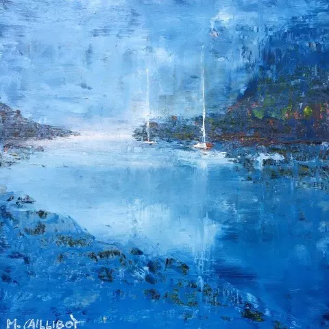 CAILLIBOT Image Flyer